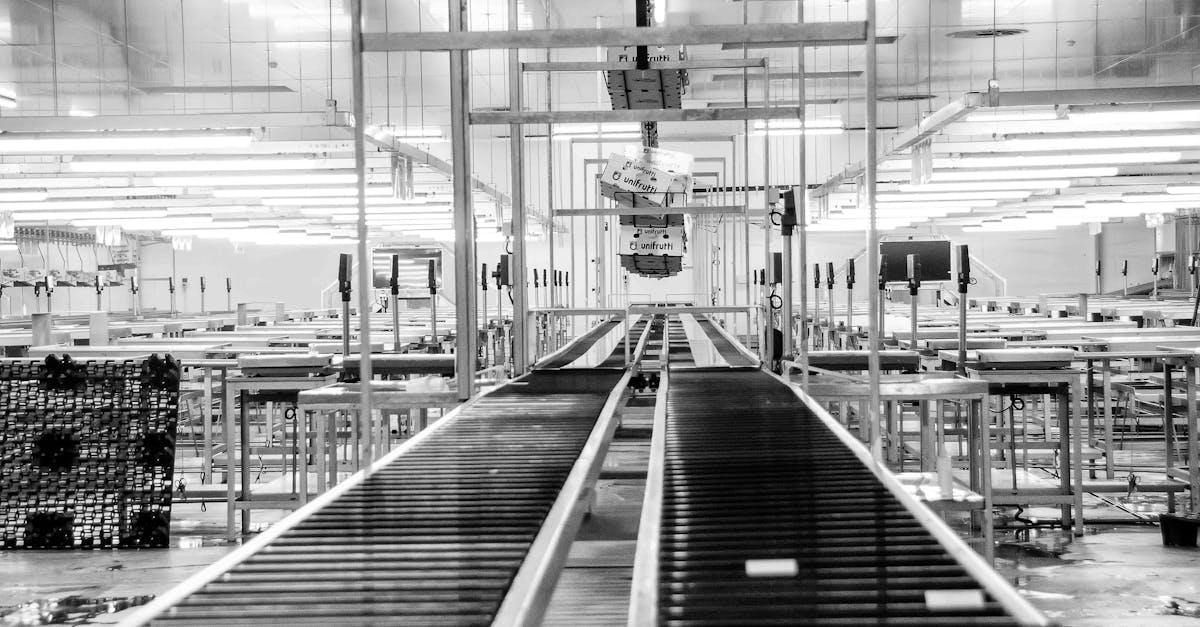 Jak producenci aut optymalizują linie produkcyjne? 9 nowatorskich metod, które przyspieszają produkcję i obniżają koszty